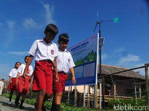 Bangun Kebun Angin Mini di Kampung Laut Butuh Rp 350 Juta