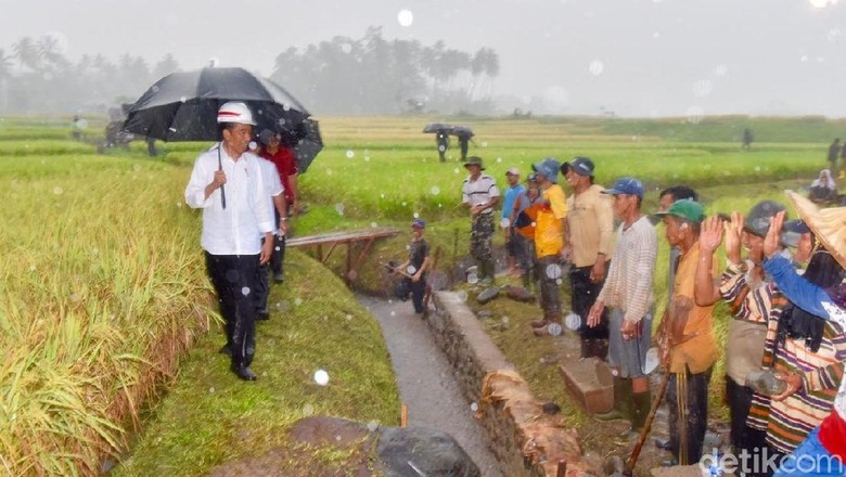 Tiga Hari Keliling Sumbar, Jokowi: Capek, tapi Ini Tugas Tiga Hari Keliling Sumbar, Jokowi: Capek, tapi Ini Tugas