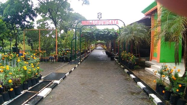 Surabaya Kini Punya Mini Agrowisata Main Ke Sana Yuk Surabaya Kini Punya Mini Agrowisata Main Ke Sana Yuk