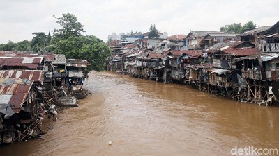 Melihat Bantaran Ciliwung yang Akan Dinormalisasi