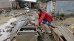 Foto: Saat Anjing-anjing Diselamatkan dari Banjir