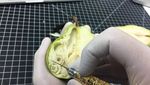 Keren! Seniman Pahat Ini Bikin Ukiran Cantik dari Alpukat hingga Brokoli