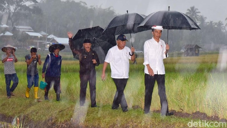 Jokowi Akan Hadiri Peringatan Hari Pers Nasional di Padang Jokowi Akan Hadiri Peringatan Hari Pers Nasional di Padang