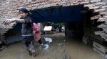 Foto: Saat Anjing-anjing Diselamatkan dari Banjir