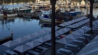Sydney Fish Market adalah pasar ikan terbesar ketiga di dunia. Sydney Fish Market menggabungkan pelabuhan perikanan, pasar ikan, lokasi pelelangan, tempat membeli makanan, hingga toko suvenir (Foto: Facebook Sydney Fish Market)
