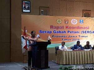 Begini Cara Mentan Serap Gabah Petani 2,2 Juta Ton hingga Juni