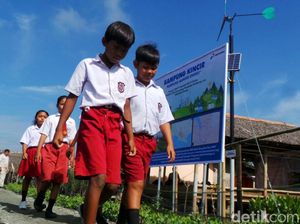 Menengok Kebun Angin Mini yang Terangi Kampung Laut