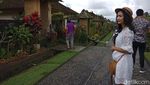 Foto: Desa di Bali yang Dipuji Mantan Model Playboy