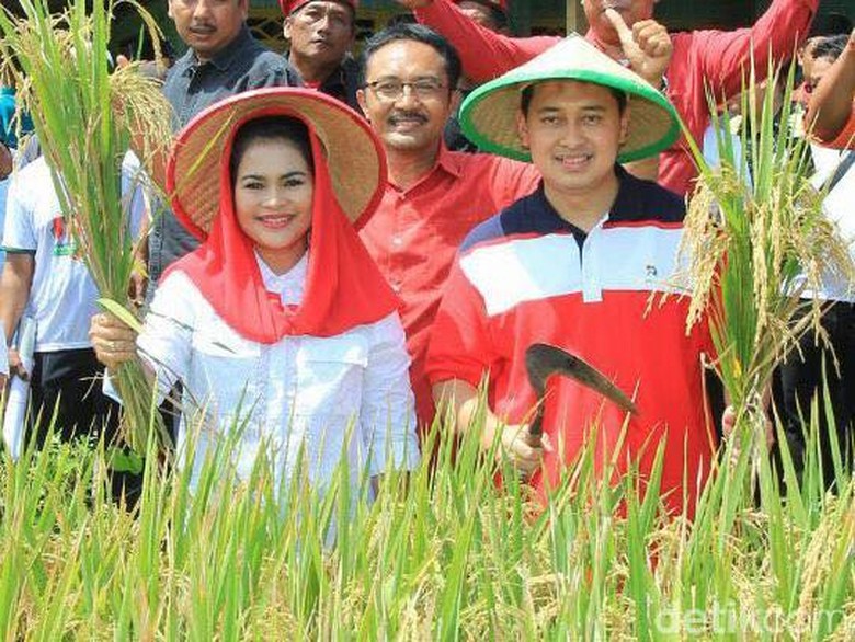 Puti Soekarno Janjikan Kebijakan Pro Pertanian Puti Soekarno Janjikan Kebijakan Pro Pertanian
