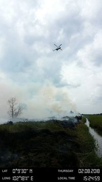 Penampakan Kebakaran Hutan di Riau, Tim Berjibaku Padamkan Api