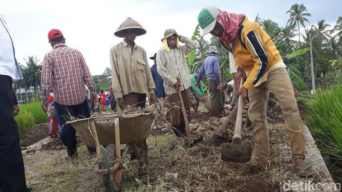 Ilustrasi/Foto: Danang Sugianto/detikFinance Ilustrasi/Foto: Danang Sugianto/detikFinance