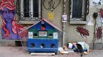 Foto: Istanbul, Kota Kucing Liar