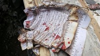 Sebagian halaman Alquran sobek karena ledakan bom, terkena bercak darah.