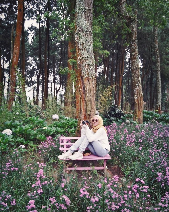 Traveler berhijab juga pernah mengeksplor kawasan Kebun Bunga Coban Talun, Kota Batu, Jawa Timur. Menikmati udara sejuk di sana, ia tampil kasual dengan paduan sweater dan jeans. Foto: Instagram