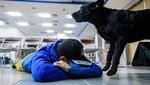 Tuei Tuei-Tie Hsiung, Anjing di Balik Pencarian Korban Gempa Taiwan