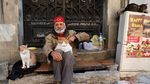 Foto: Istanbul, Kota Kucing Liar