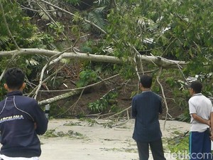 Akibat Tanah Gerak, Jalan Banjarnegara-Pekalongan Terputus