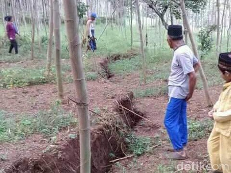 Tanah Retak dan Ambles Bahayakan 33 Rumah Warga di Jember Tanah Retak dan Ambles Bahayakan 33 Rumah Warga di Jember