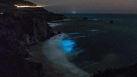 Pemandangan menakjubkan memang kerap terlihat di Big Sur. Namun, baru-baru ini fitoplankton yang bercahaya mengubah ombak jadi tontonan yang memikat mata. (Foto: George Krieger/Handout via REUTERS)
