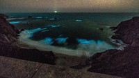 Air laut ini bercahaya akibat efek bioluminensi yaitu emisi cahaya yang dihasilkan oleh makhluk hidup karena adanya reaksi kimia tertentu (Foto: George Krieger/Handout via REUTERS)