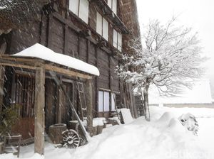 Liburan Akhir Tahun di Jepang, Main Salju di Shirakawa!