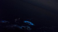 Spesies yang diduga menyebabkan kondisi ini adalah Noctiluca, Lingulodinium, dan Protoperidinium (Foto: Brian Mack/Handout via REUTERS)