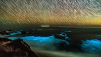Ombak berwana biru terang yang berpendar tampak indah saat difoto berpadu dengan bintang-bintang di langit. (Foto: George Krieger/Handout via REUTERS)