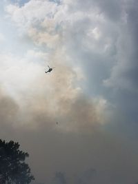 Penampakan Kebakaran Hutan di Riau, Tim Berjibaku Padamkan Api