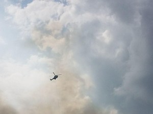 Penampakan Kebakaran Hutan di Riau, Tim Berjibaku Padamkan Api