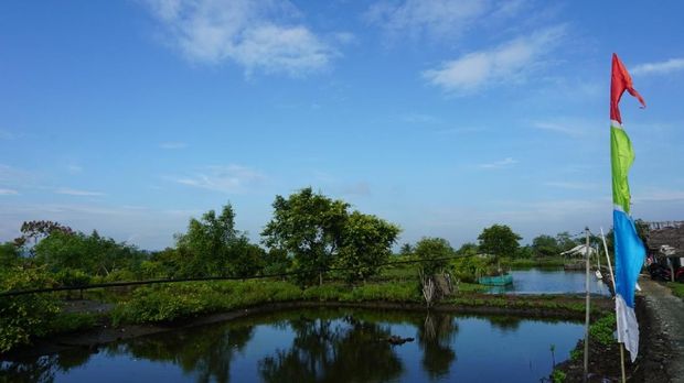 Angin dan Matahari untuk Dusun di Kampung Laut 