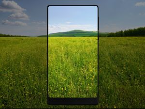 Menelisik Tren Layar Smartphone Zaman Now