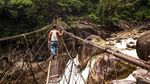 Foto: Jembatan Akar Pohon Hidup dari India
