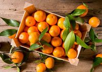 Mau Belanja Jeruk Mandarin? Coba Simak Dulu Tips Berikut Ini