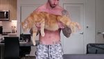 Potret Pria Kekar yang Populer Karena Sering Olahraga Bareng Kucing Imut