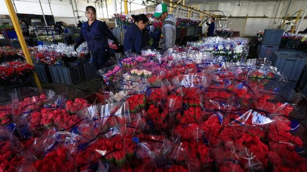 Hari Valentine Jadi Berkah Bagi Pengangguran di Kolombia