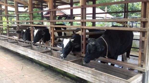 Kuntum Farmfield di Bogor
