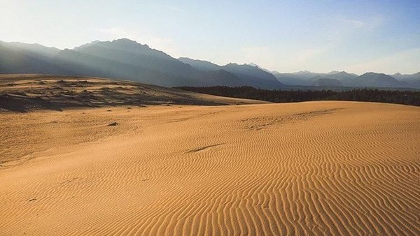 Foto: Sejauh mata memandang, hanya warna coklat muda khas pasir yang akan terlihat. Sesaat Anda akan merasa sedang berada di Timur Tengah, minus gerombolan unta dan pohon-pohon kaktus. (russiabeyond/Instagram) Foto: Sejauh mata memandang, hanya warna coklat muda khas pasir yang akan terlihat. Sesaat Anda akan merasa sedang berada di Timur Tengah, minus gerombolan unta dan pohon-pohon kaktus. (russiabeyond/Instagram)