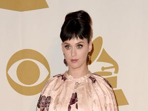 KatyCats, Sudah Hafalin Lagunya Katy Perry Belum?