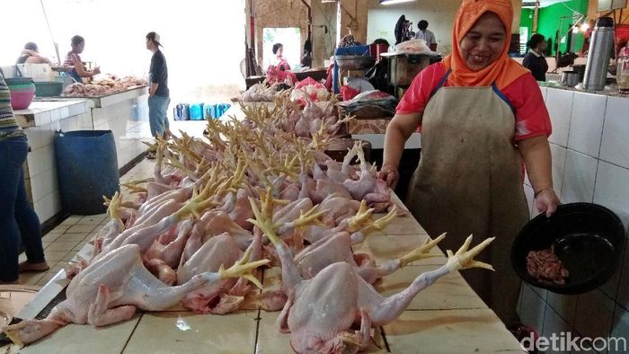 Ilustrasi Penjual Ayam/Foto: Trio Hamdani Ilustrasi Penjual Ayam/Foto: Trio Hamdani