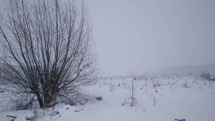 Sebelum Jatuh di Dekat Moskow, Pesawat AN-148 Sempat Hilang dari Radar