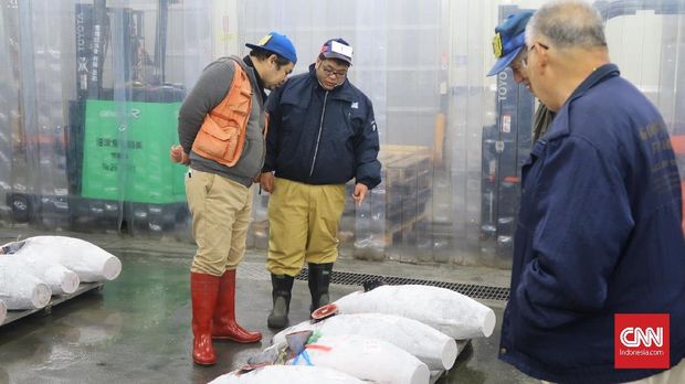 Menikmati Estetika Pasar Ikan Numazu