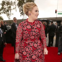 Gaun merah Valentino yang Adele pakai di Grammy Awards 2013 juga jadi target nyinyiran netizen. Foto: Dok. Getty Images