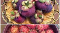 Kalau ini manggis dan rambutan yang dipanen Ibu Ani. Manggisnya dihasilkan dari pohon yang ditanam nenek 4 cucu ini tahun 2007 silam. Foto: Instagram aniyudhoyono