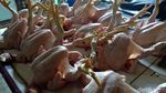 Daging Ayam di Pasar Ciracas Masih Mahal