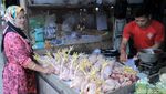 Harga Ayam di Bandung Sudah Normal