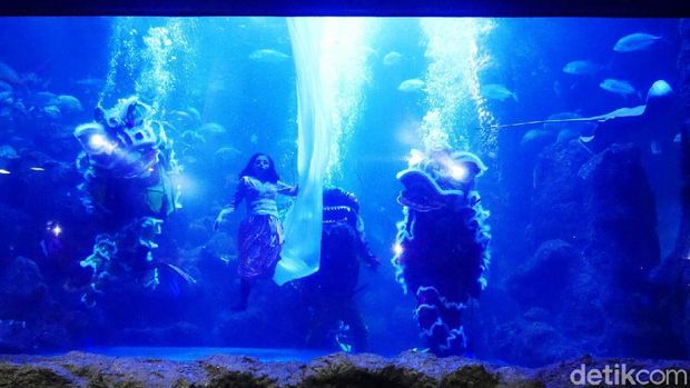 Salah satu adegan di Underwater Barongsai (Kurnia/detikTravel)