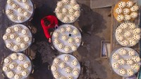 Ini roti kukus yang sedang dilukis oleh seorang wanita di kota Liaochen, China Timur. Ia terlihat melukis semua roti tradisional itu untuk merayakan Tahun Baru China. Foto: Istimewa