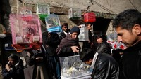 Pasar burung Kabul tak hanya sekedar tempat untuk berjualan burung. Pasar di gang-gang sempit ini jadi tempat favorit pria Afghanistan melepas stress. (Mohammad Ismail/Reuters)