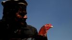 Foto: Cara Rekreasi di Afghanistan, Main Burung di Pasar