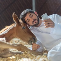 Di 2008, Sheikh Hamdan ditunjuk sebagai Putra Mahkota Dubai. Gelar tersebut tidak diberikan sang kakak karena menurut orang-orang tertinggi di Dubai, Sheikh hamdan yang lebih cocok menerima jabatan tersebut. Kini, sang pangeran menjabat sebagai Ketua Dewan Eksekutif Pemerintah Dubai Foto: Instagram